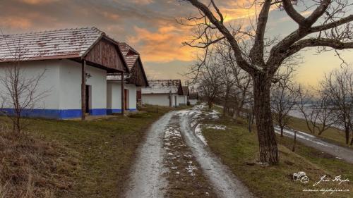 1611783982-vlcnovske-budy-a-p
