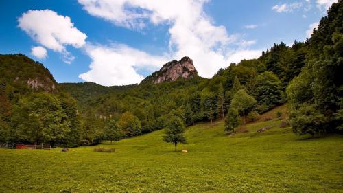 Malý Rozsutec